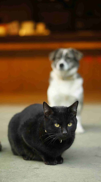 _DSC4268.jpg _DSC4268.jpg