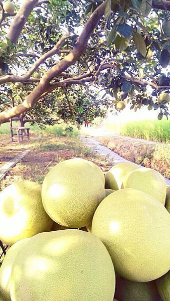 10715972_10202571745044654_682029273_n 10715972_10202571745044654_682029273_n