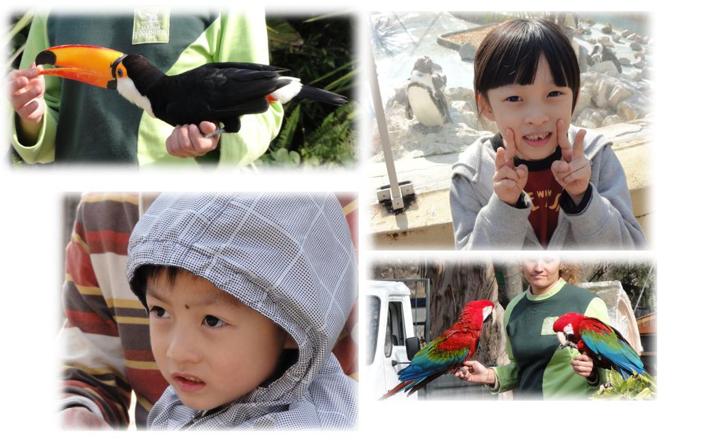 133-ZOO.jpg 133-ZOO.jpg