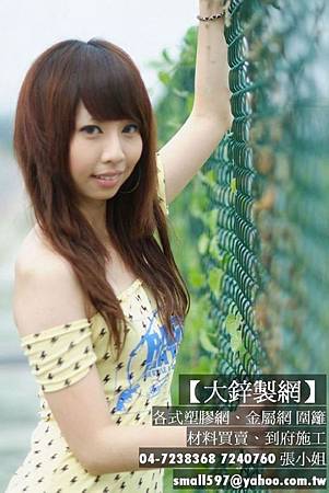 點銲網,鍍鋅點焊網,點銲鋼絲網施工規範,大鋅製網 點銲網,鍍鋅點焊網,點銲鋼絲網施工規範,大鋅製網