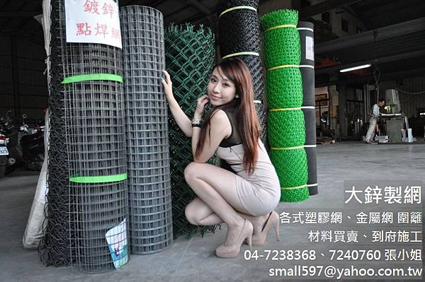 防蟲網哪裡買防蟲網架防蟲網規格大鋅製網 防蟲網哪裡買防蟲網架防蟲網規格大鋅製網