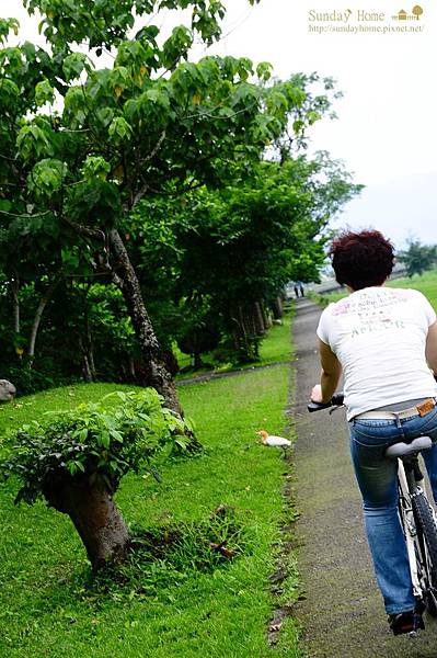 【宜蘭旅遊景點推薦】20130417 安農溪自行車道 【宜蘭民宿】Sunday Home