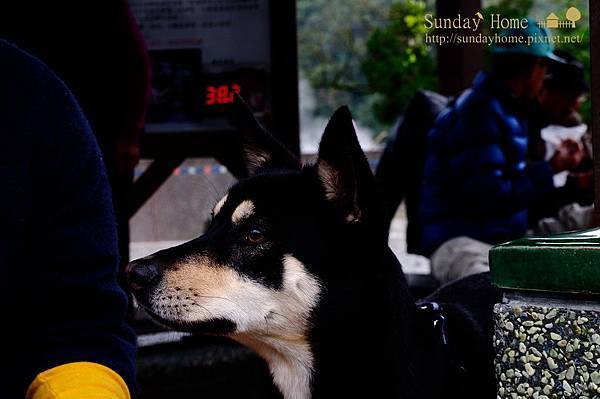 【宜蘭旅遊景點推薦】20140103 清水地熱煮蛋去 【宜蘭民宿】Sunday Home 【宜蘭旅遊景點推薦】20140103 清水地熱煮蛋去 【宜蘭民宿】Sunday Home