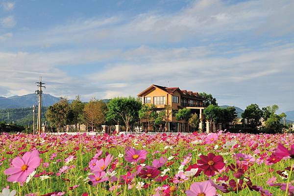 【宜蘭旅遊景點推薦】2014 三星嘉年華 波斯菊花海 【宜蘭民宿】Sunday Home 【宜蘭旅遊景點推薦】2014 三星嘉年華 波斯菊花海 【宜蘭民宿】Sunday Home