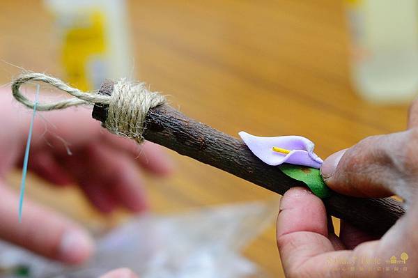 20110323 體驗幸福的農場-幸福20號農場【宜蘭民宿】Sunday Home 20110323 體驗幸福的農場-幸福20號農場【宜蘭民宿】Sunday Home