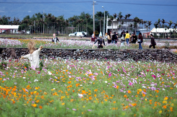 2008全國十大景觀花田-三星花海【宜蘭民宿】Sunday Home 2008全國十大景觀花田-三星花海【宜蘭民宿】Sunday Home