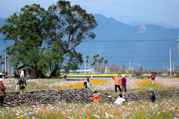 2008全國十大景觀花田-三星花海【宜蘭民宿】Sunday Home 2008全國十大景觀花田-三星花海【宜蘭民宿】Sunday Home
