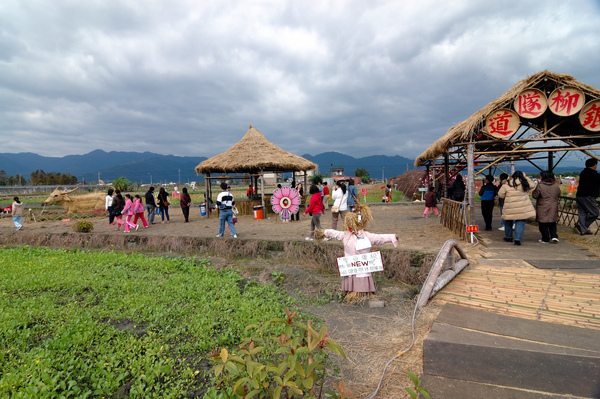 2008全國十大景觀花田-三星花海【宜蘭民宿】Sunday Home 2008全國十大景觀花田-三星花海【宜蘭民宿】Sunday Home