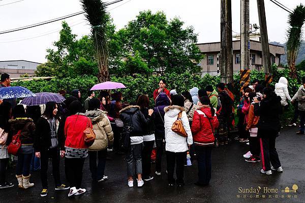 20110323 體驗幸福的農場-幸福20號農場【宜蘭民宿】Sunday Home 20110323 體驗幸福的農場-幸福20號農場【宜蘭民宿】Sunday Home