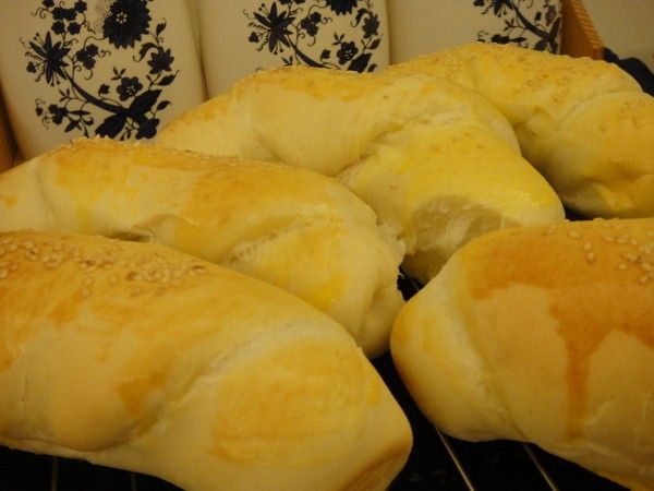 DSC02560 (600x450) DSC02560 (600x450)