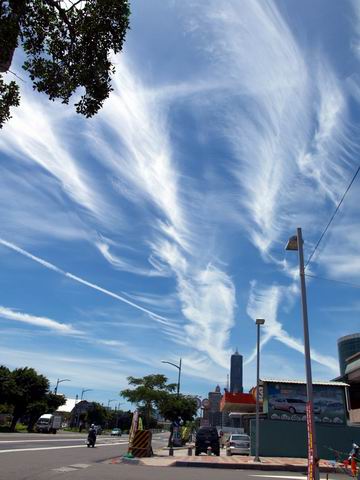 P7222083.JPG P7222083.JPG