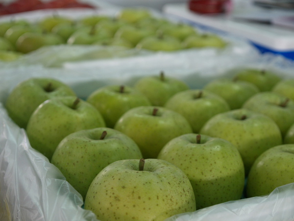 PB045572.JPG PB045572.JPG