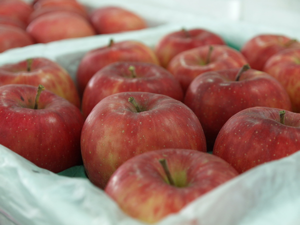 PB045573.JPG PB045573.JPG