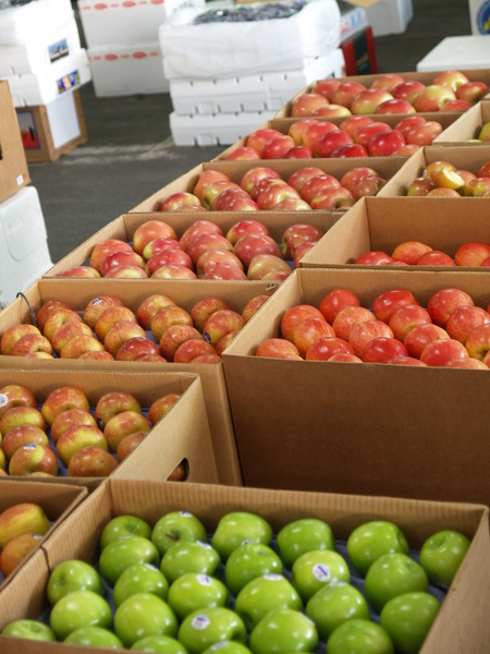 PB045535.JPG PB045535.JPG