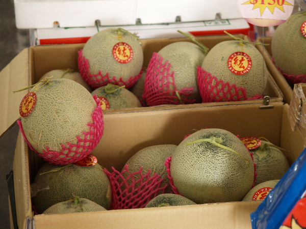 PB045547.JPG PB045547.JPG