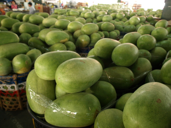 PB045556.JPG PB045556.JPG