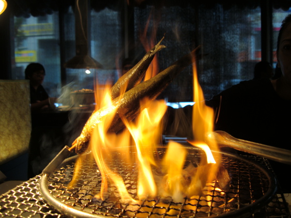 DSC00354.JPG DSC00354.JPG