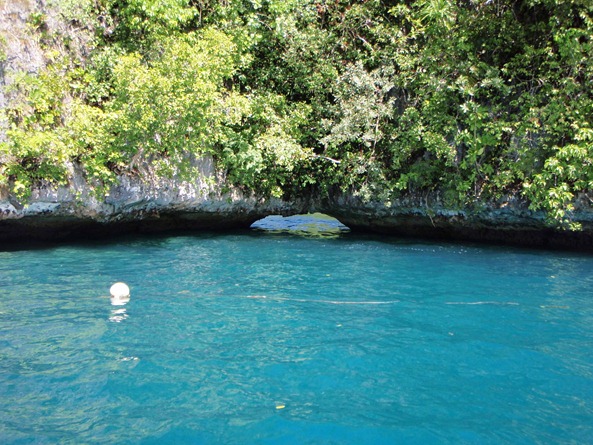 OLYMPUS DIGITAL CAMERA OLYMPUS DIGITAL CAMERA