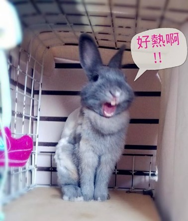 1012116_679610828722771_1582010221_n