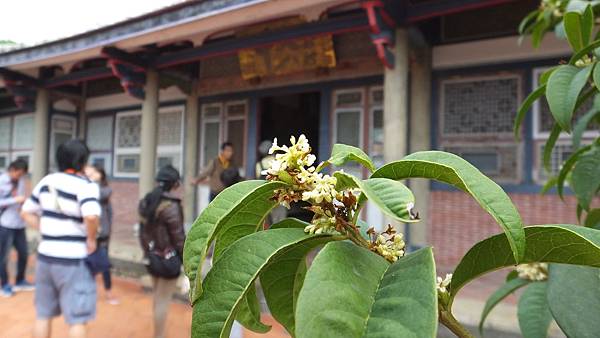 12霧峰林家宮保第園區_20.JPG