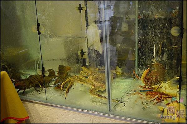 DSC_1222.JPG DSC_1222.JPG