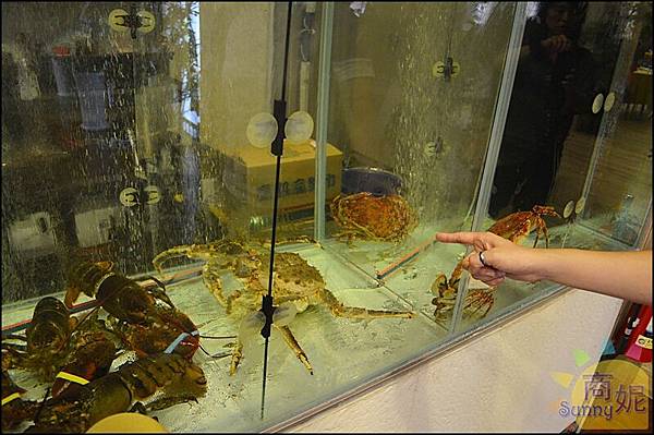 DSC_1226.JPG DSC_1226.JPG