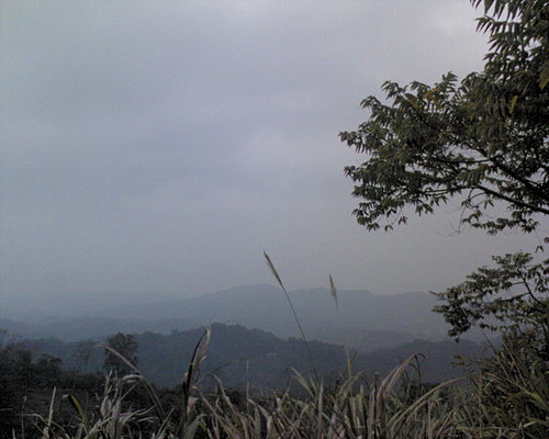 /home/service/tmp/2009-01-17/tpchome/472296/26.jpg /home/service/tmp/2009-01-17/tpchome/472296/26.jpg