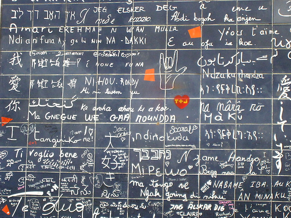 IMG_7775.jpg IMG_7775.jpg