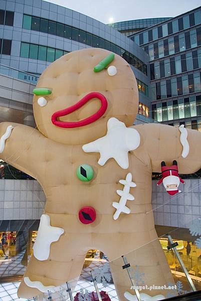 IMG_7978.jpg IMG_7978.jpg