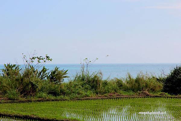 IMG_0154 (2).JPG IMG_0154 (2).JPG