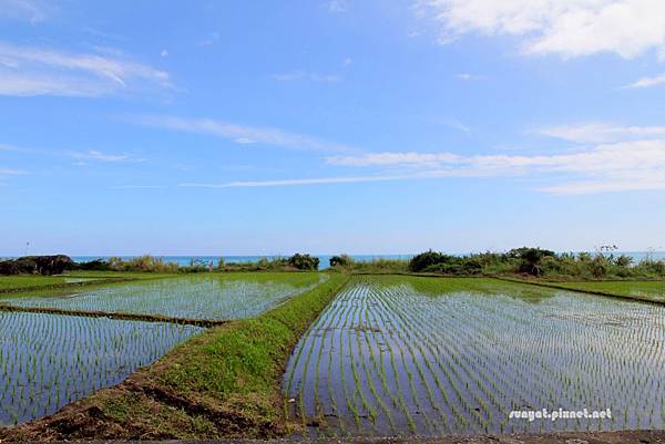 IMG_0155 (2).JPG IMG_0155 (2).JPG