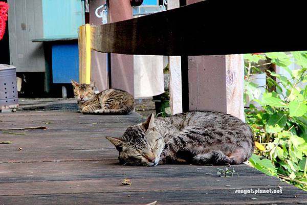 IMG_0166.JPG IMG_0166.JPG