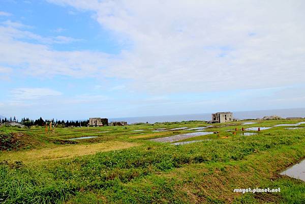 IMG_0193.JPG IMG_0193.JPG