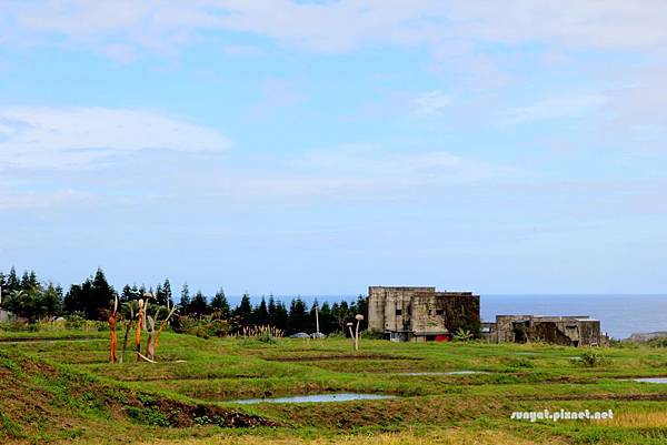 IMG_0194.JPG IMG_0194.JPG