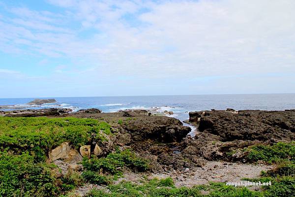 IMG_0196.JPG IMG_0196.JPG