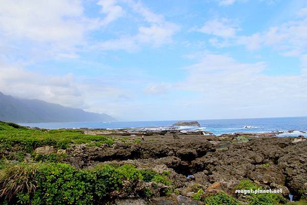 IMG_0201.JPG IMG_0201.JPG