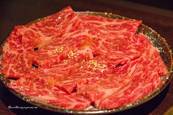 IMG_6055 (800x533).jpg IMG_6055 (800x533).jpg