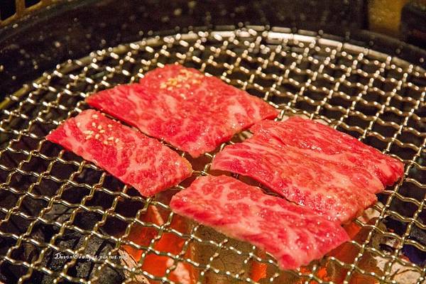 IMG_6062 (800x533).jpg IMG_6062 (800x533).jpg