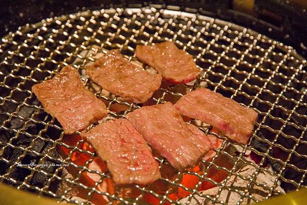 IMG_6064 (800x533).jpg IMG_6064 (800x533).jpg