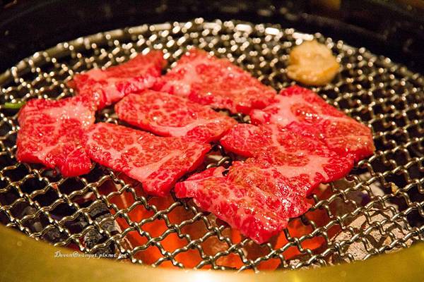 IMG_6076 (800x533).jpg IMG_6076 (800x533).jpg