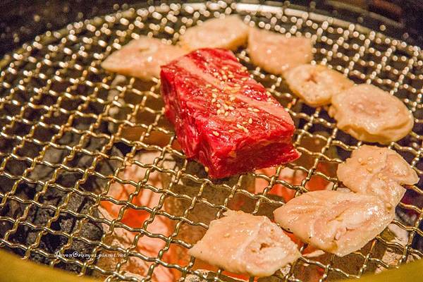 IMG_6068 (800x533).jpg IMG_6068 (800x533).jpg