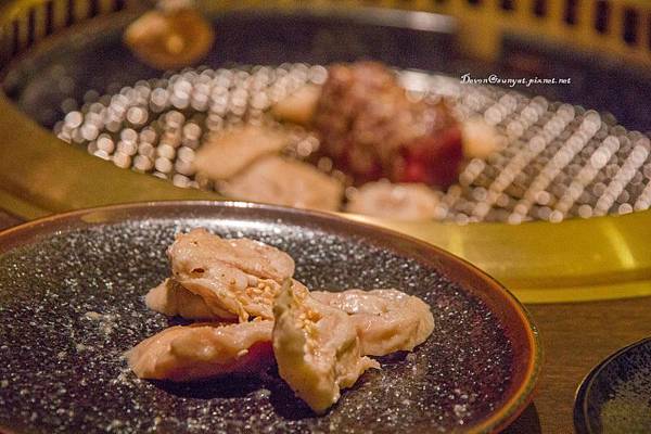 IMG_6072 (800x533).jpg IMG_6072 (800x533).jpg