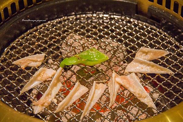 IMG_6089 (800x533).jpg IMG_6089 (800x533).jpg