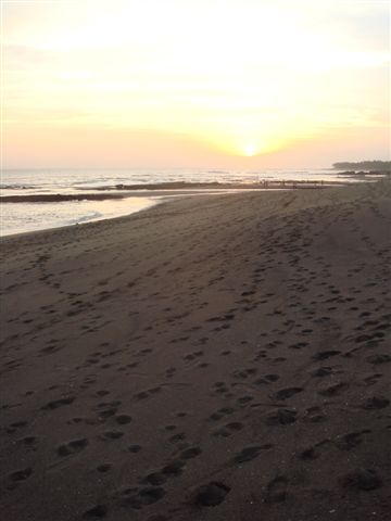 202_足跡.JPG 202_足跡.JPG