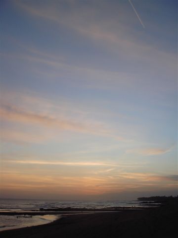 212_萬紫千紅.JPG 212_萬紫千紅.JPG