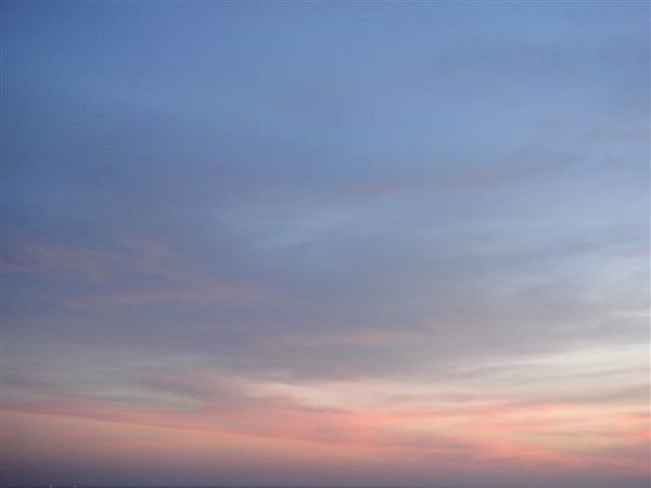 213_萬紫千紅.JPG 213_萬紫千紅.JPG