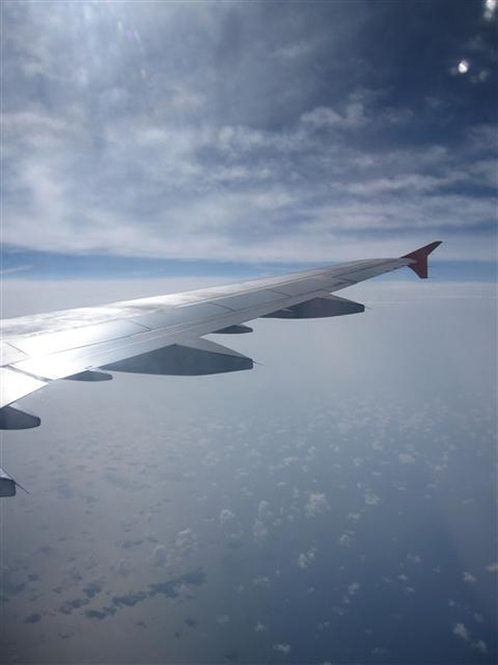 003_機翼.JPG 003_機翼.JPG