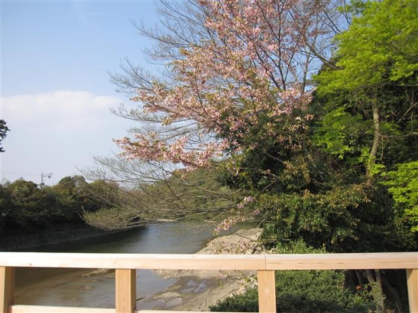117_伊勢神宮.JPG 117_伊勢神宮.JPG