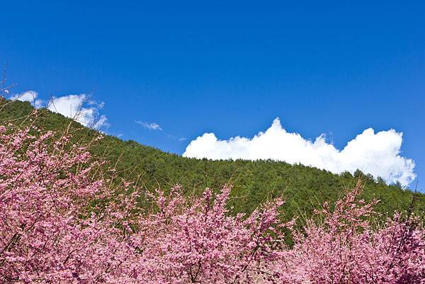 20120214-20120214-IMG_4080-2.jpg 20120214-20120214-IMG_4080-2.jpg