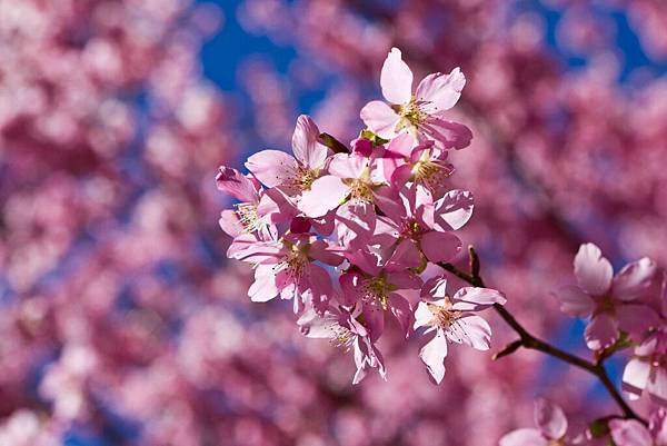 20120214-20120214-IMG_4071.jpg 20120214-20120214-IMG_4071.jpg